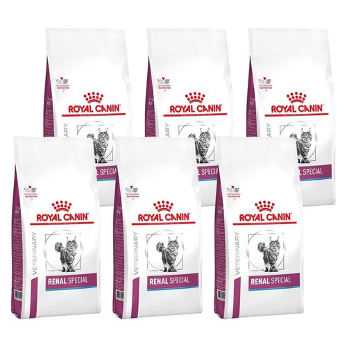 Karma dla kota ROYAL CANIN Renal Special 6 x 2 kg
