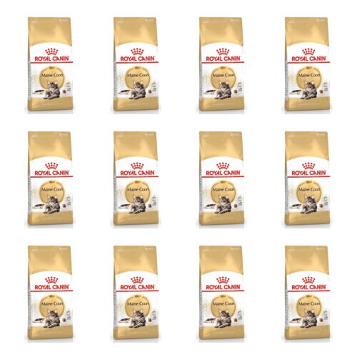 Karma dla kota ROYAL CANIN Maine Coon 12 x 400 g