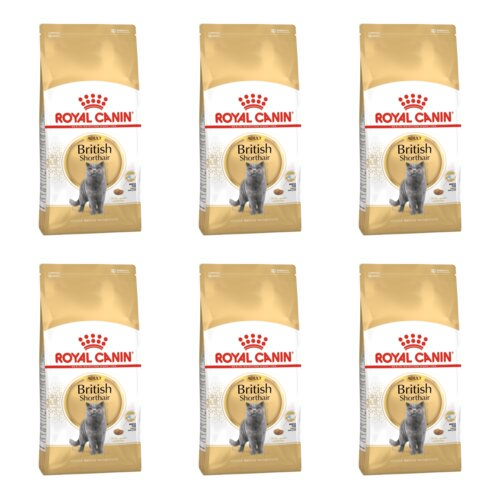 Karma dla kota ROYAL CANIN British Shorthair 6 x 2 kg