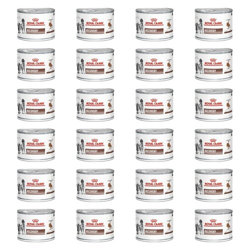 Karma dla psów i kotów ROYAL CANIN Recovery 24 x 195 g