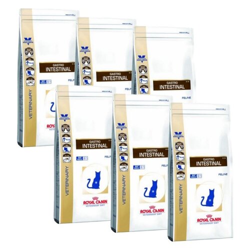 Karma dla kota ROYAL CANIN Gastrointestinal 6 x 2 kg