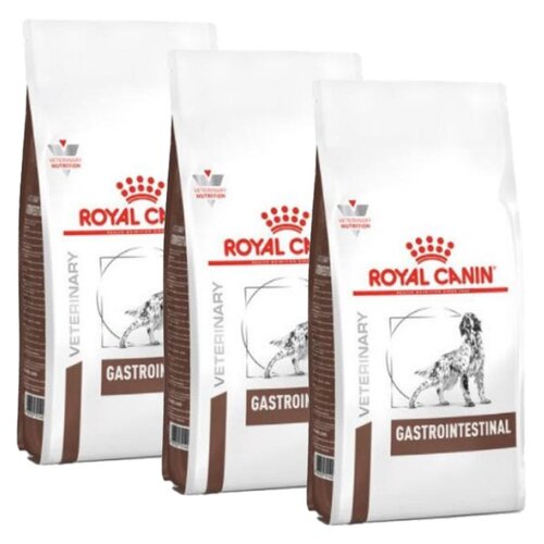 Karma dla psa ROYAL CANIN Vet Gastro Intestinal 3 x 2 kg