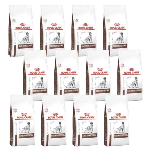 Karma dla psa ROYAL CANIN Vet Gastro Intestinal 12 x 2 kg