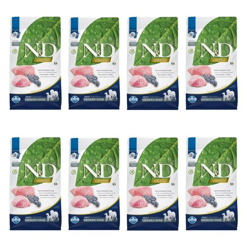 Karma dla psa FARMINA N&D Prime Jagnięcina z borówką Medium & Maxi 8 x 2.5 kg