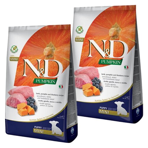 Karma dla psa FARMINA N&D Jagnięcina z dynią i borówką 2 x 2.5 kg