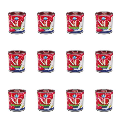 Karma dla psa FARMINA N&D Quinoa Digestion Jagnięcina z komosą ryżową 12 x 285 g