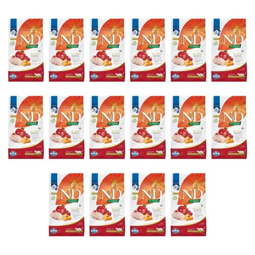 Karma dla kota FARMINA N&D Pumpkin Przepiórka z dynią i granatem 16 x 300 g
