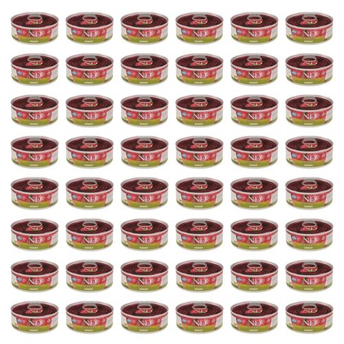 Karma dla kota FARMINA N&D Quinoa Kaczka 48 x 80 g