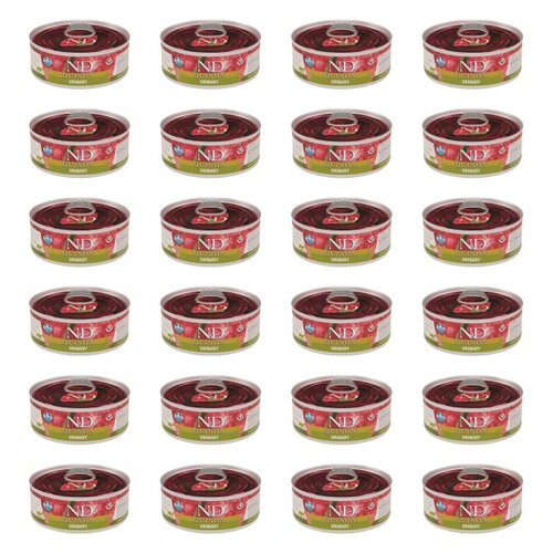Karma dla kota FARMINA N&D Quinoa Kaczka 24 x 80 g