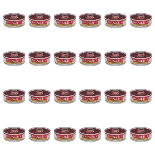 Karma dla kota FARMINA N&D Quinoa Neutered Wieprzowina 24 x 80 g