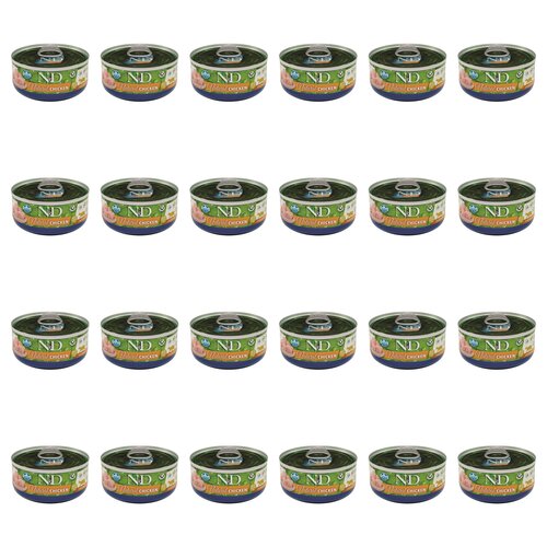 Karma dla kota FARMINA N&D Natural Kurczak 24 x 70 g
