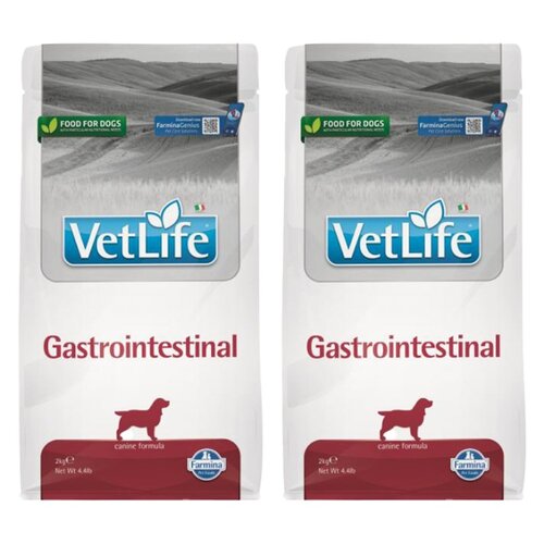 Karma dla psa FARMINA Vet Life Gastroasntestinal 2 x 2 kg