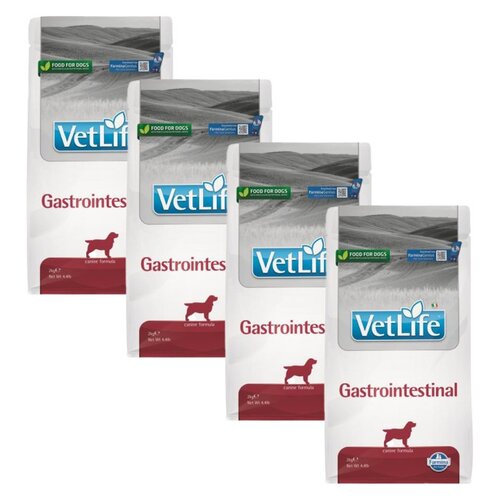 Karma dla psa FARMINA Vet Life Gastroasntestinal 4 x 2 kg