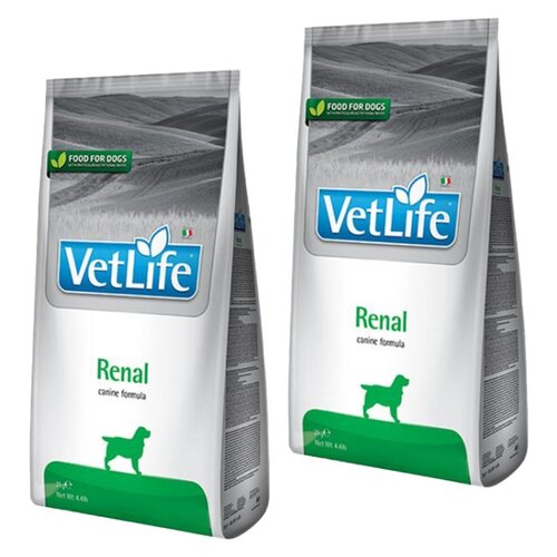 Karma dla psa FARMINA Vet Life Renal 2 x 2 kg