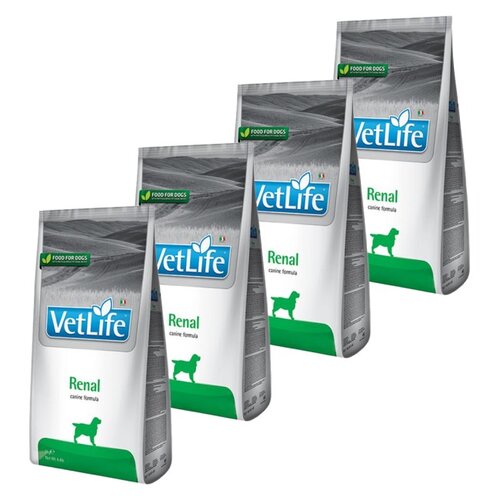 Karma dla psa FARMINA Vet Life Renal 4 x 2 kg