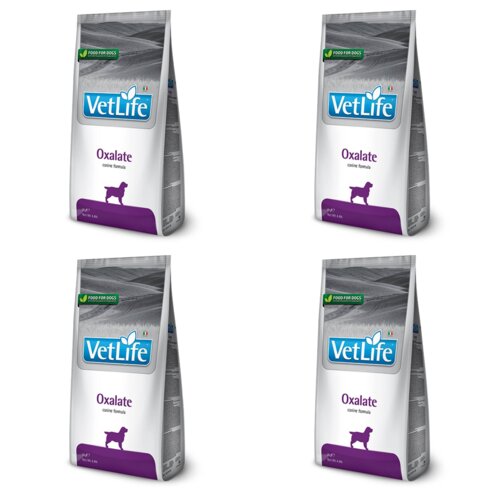 Karma dla psa FARMINA Vet Life Oxalate Dog Kurczak z ryżem 4 x 2 kg