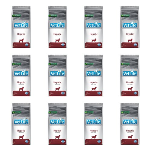 Karma dla psa FARMINA Vet Life Hepatic 12 x 2 kg