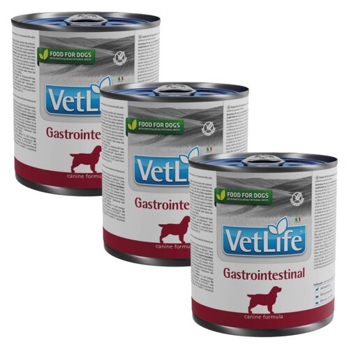 Karma dla psa FARMINA Vet Life Gastrointestinal 3 x 300 g