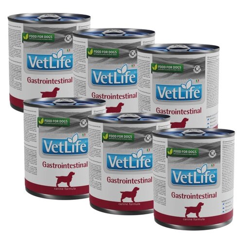 Karma dla psa FARMINA Vet Life Gastrointestinal 6 x 300 g