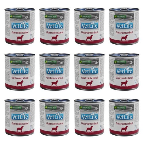 Karma dla psa FARMINA Vet Life Gastrointestinal 12 x 300 g
