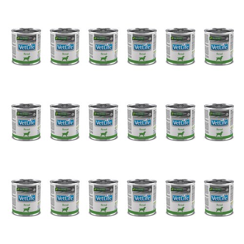 Karma dla psa FARMINA Vet Life Canine Renal 18 x 300 g