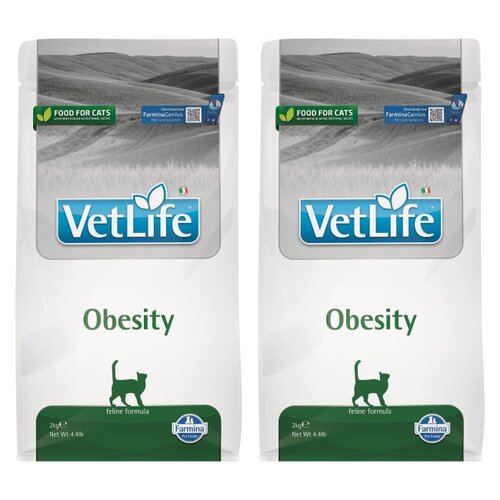 Karma dla kota FARMINA Vet Life Obesity 2 x 2 kg