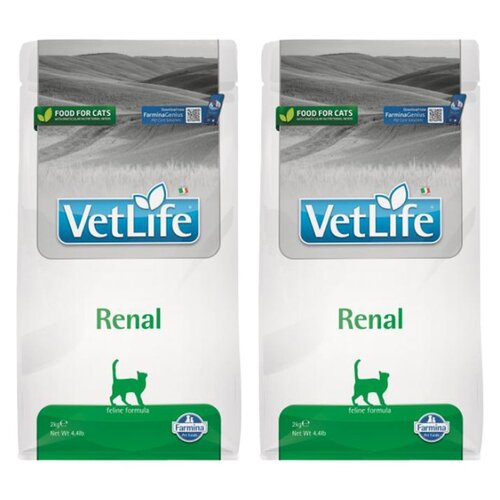 Karma dla kota FARMINA Vet Life Renal 2 x 2 kg