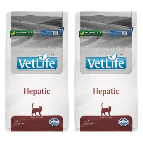 Karma dla kota FARMINA Vet Life Hepatic 2 x 2 kg