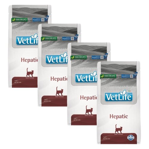 Karma dla kota FARMINA Vet Life Hepatic 4 x 2 kg