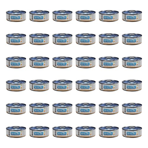Karma dla kota FARMINA VetLife Convalescence 36 x 85 g