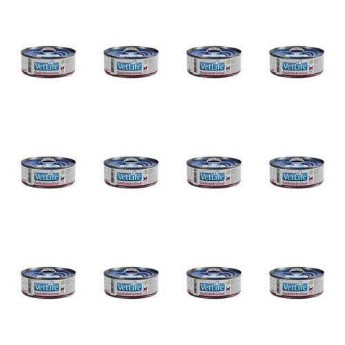 Karma dla kota FARMINA VetLife Gastrointestinal Feline 12 x 85 g