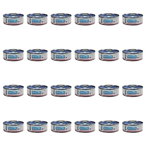 Karma dla kota FARMINA VetLife Gastrointestinal Feline 24 x 85 g