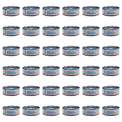 Karma dla kota FARMINA VetLife Gastrointestinal Feline 36 x 85 g