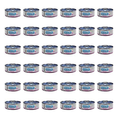 Karma dla kota FARMINA VetLife Struvite 36 x 85 g