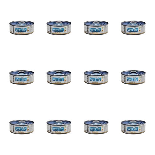 Karma dla kota FARMINA VetLife Diabetic Feline 12 x 85 g