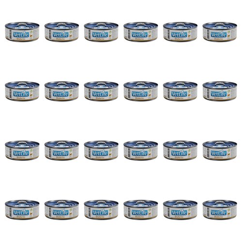 Karma dla kota FARMINA VetLife Diabetic Feline 24 x 85 g