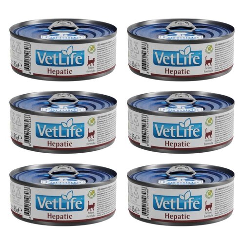 Karma dla kota FARMINA Vet Life Hepatic 6 x 85 g