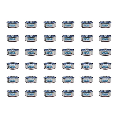 Karma dla kota FARMINA Vet Life Hepatic 36 x 85 g