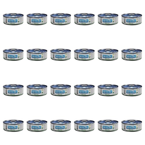 Karma dla kota FARMINA VetLife Obesity Feline 24 x 85 g