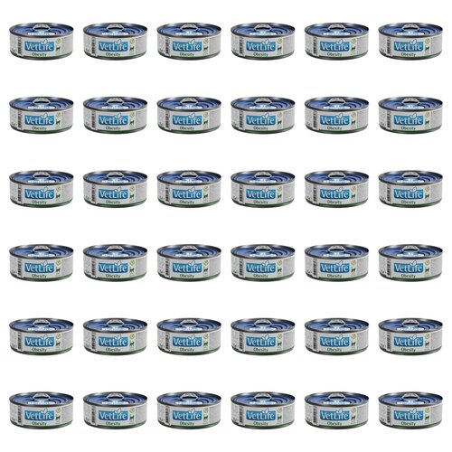 Karma dla kota FARMINA VetLife Obesity Feline 36 x 85 g