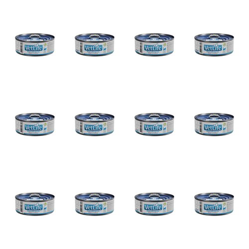 Karma dla kota FARMINA VetLife Hypoallergenic Pork & Potato 12 x 85 g