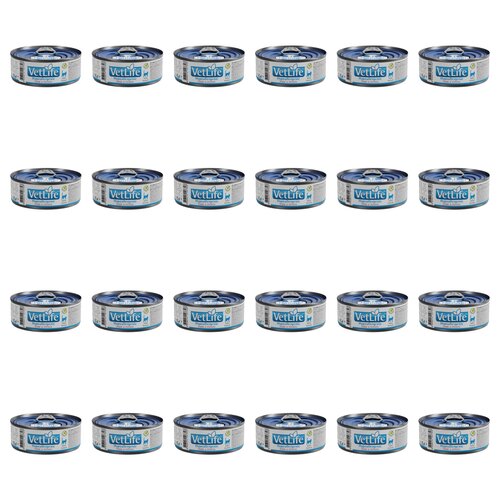 Karma dla kota FARMINA VetLife Hypoallergenic Pork & Potato 24 x 85 g