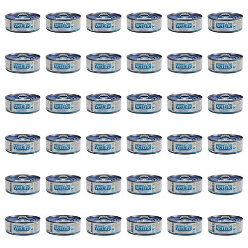 Karma dla kota FARMINA VetLife Hypoallergenic Pork & Potato 36 x 85 g