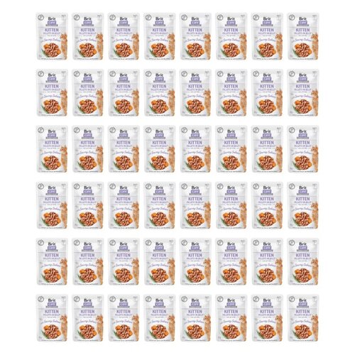 Karma dla kota BRIT Care z łososiem w galarecie 48 x 85 g