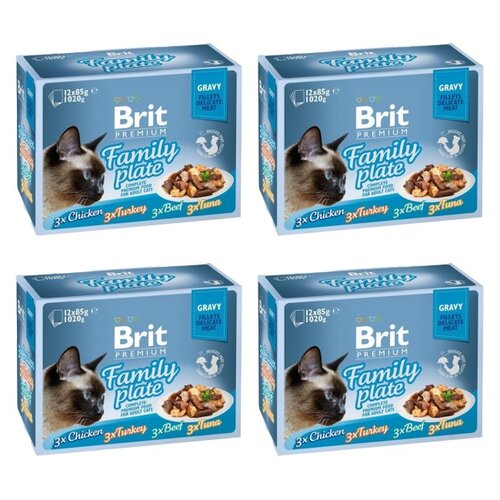 Karma dla kota BRIT Cat Gravy Fillet Family Plate Mix smaków (48 x 85 g)
