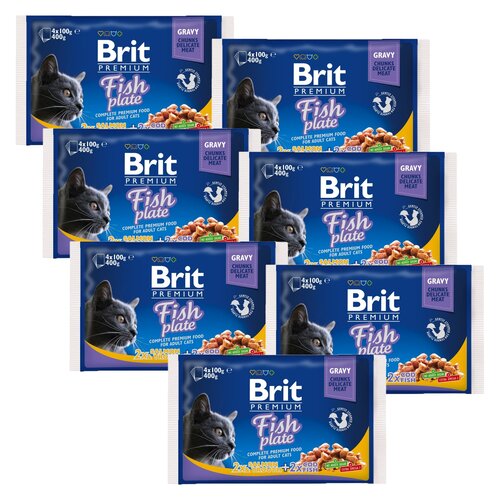 Karma dla kota BRIT Premium Łosoś z pstrągiem w sosie 28 x 100 g