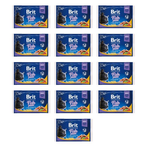 Karma dla kota BRIT Premium Łosoś z pstrągiem w sosie 52 x 100 g