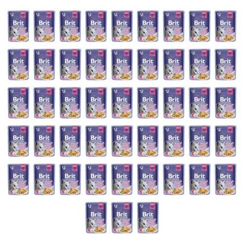 Karma dla kota BRIT Filet z kurczaka w galaretce 48 x 85 g
