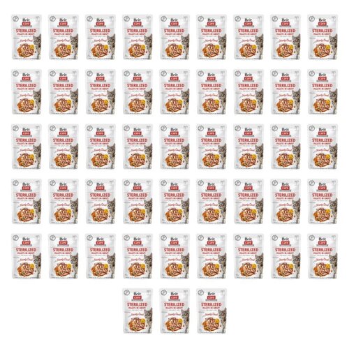 Karma dla kota BRIT Hearty Duck Pouch Kaczka 48 x 85 g