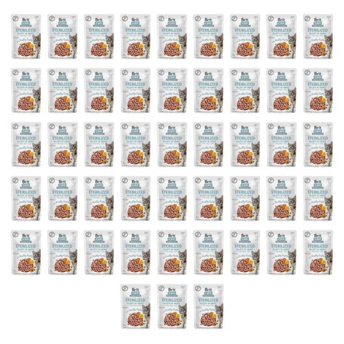Karma dla kota BRIT Fillets in Gravy Sterlized Rabbit 48 x 85 g